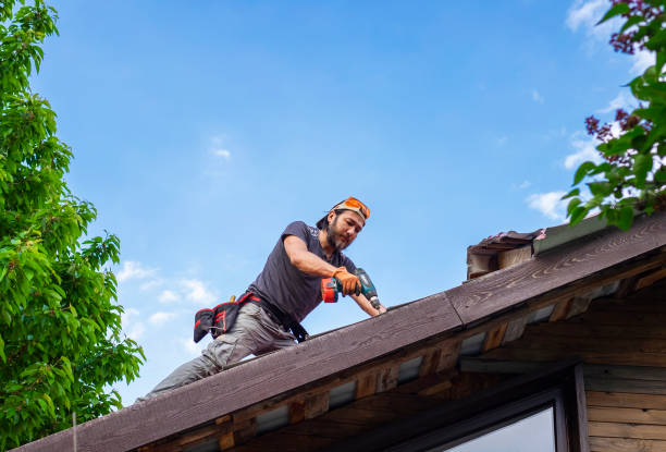 Best Roof Coating and Sealing  in Waverly, NE
