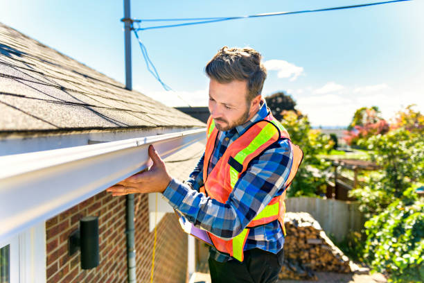 Best Roof Insulation Installation  in Waverly, NE